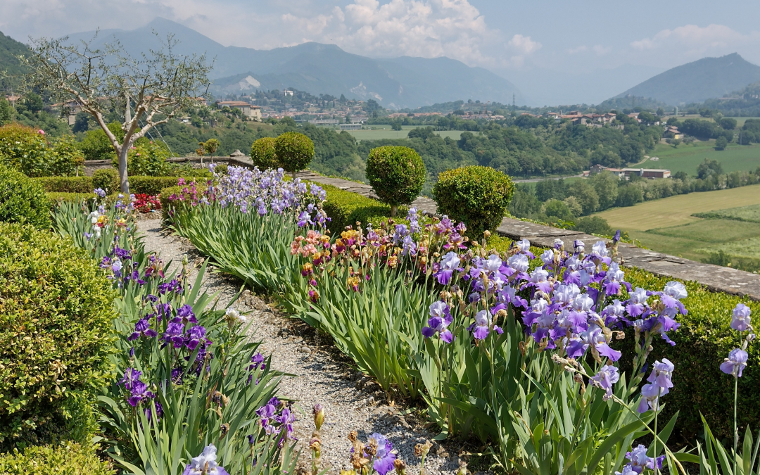 Speciale Pasquetta – Visite guidate nel Castello