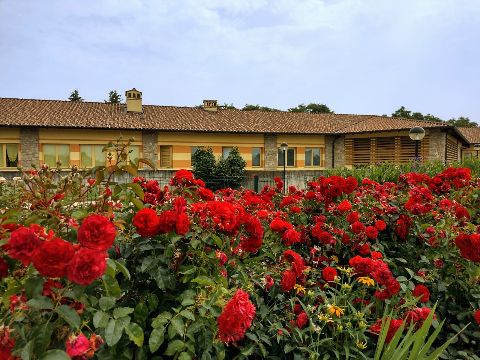 Giardino Centro Calepio 1 Centro Polivalente Disabili Conti Calepio