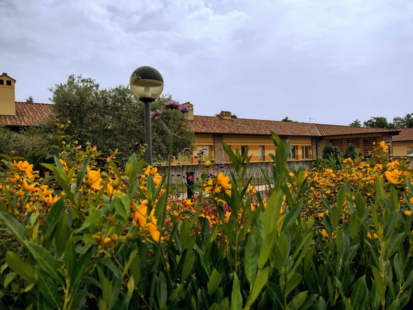 Giardino Centro Calepio 2
