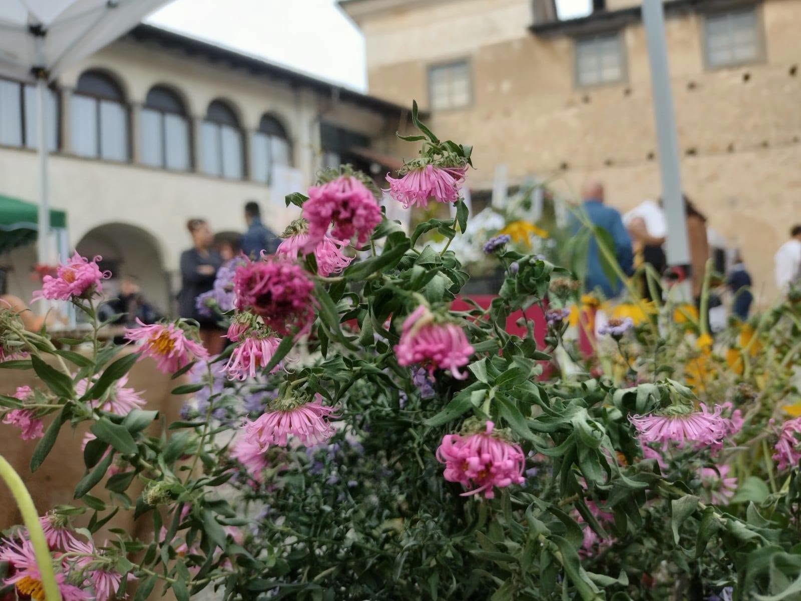 Centro Polivalente Disabili Conti Calepio